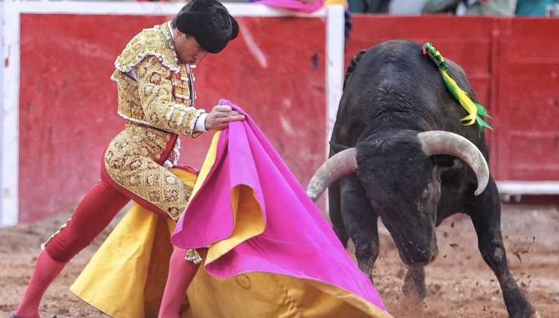 Suspenden de nuevo las corridas de toros en la Plaza México