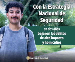  Titulo