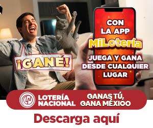 Titulo
