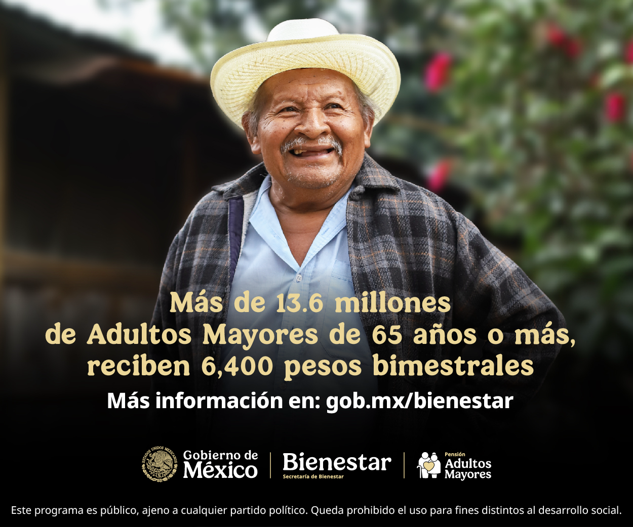 Bienestar 250
