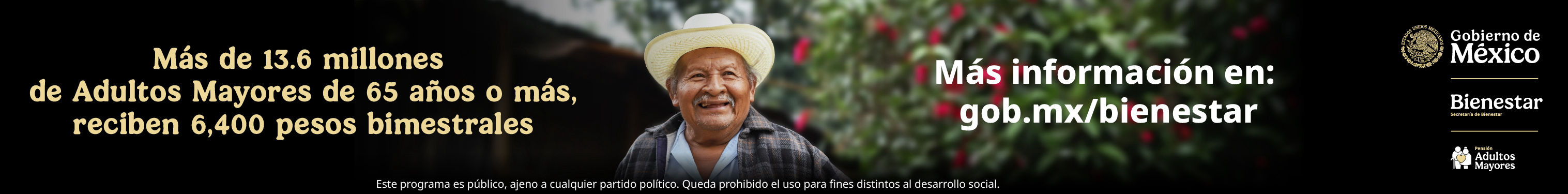  Titulo