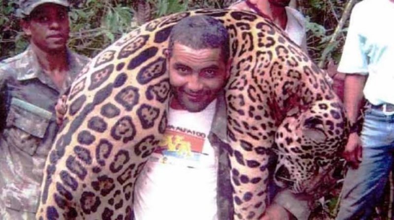 Detienen a cazador que acabó con más de mil jaguares. 