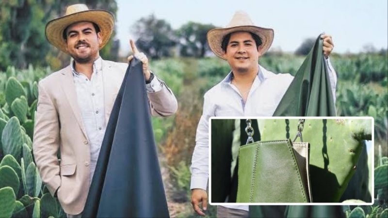Mexicanos desarrollan hermosa piel de nopal, es la sensación para las pasarelas internacionales