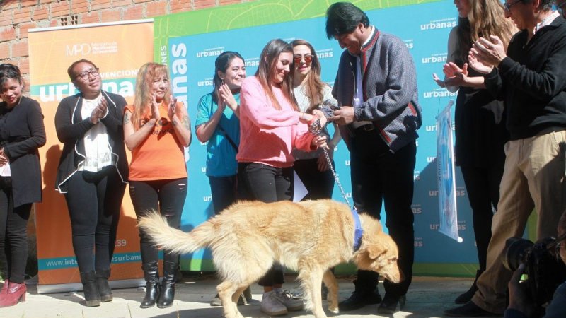 Militares bolivianos asesinan a “Ihapa” el perro de Evo Morales. y