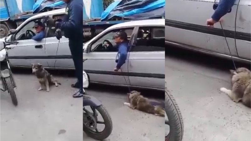 Arrastra a perro desde su automóvil para ahorcarlo. (VIDEO)