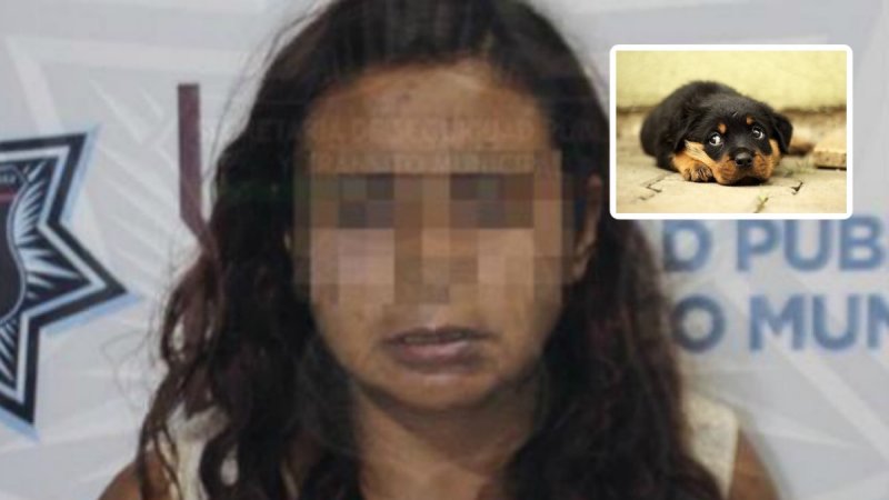 Liberan a mujer que mataba perros para vender su carne para tacos en Puebla