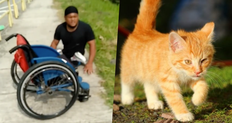 Deportista paralímpico se baja de su silla de ruedas para rescatar a gatito que estaba atorado.y