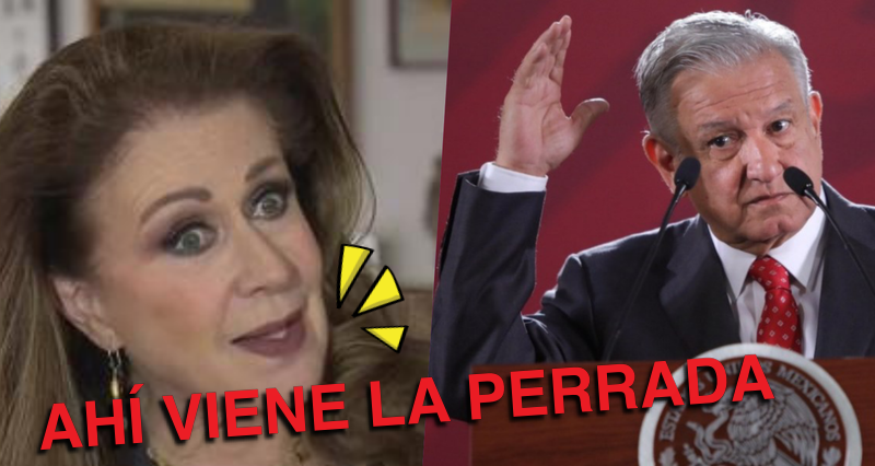 Laura Zapata llama “perrada” a tuiteros y pide la renuncia de AMLO.