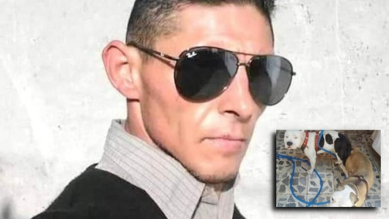 Autoridades buscan a Marco A. Flores, el sujeto que torturó a su perrita pitbull; tiene antecedentes