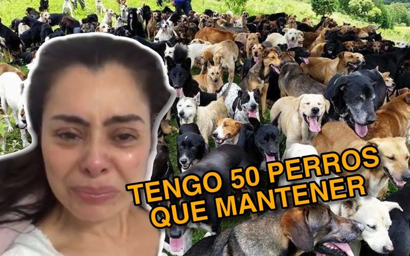 Desde que Juan está en la cárcel, no tengo dinero para mantener a mis 50 perros: Yadhira Carrilloy