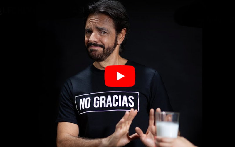 Eugenio Derbez pide no tomar leche de vaca y usuarios le tunden en redes (VIDEO)