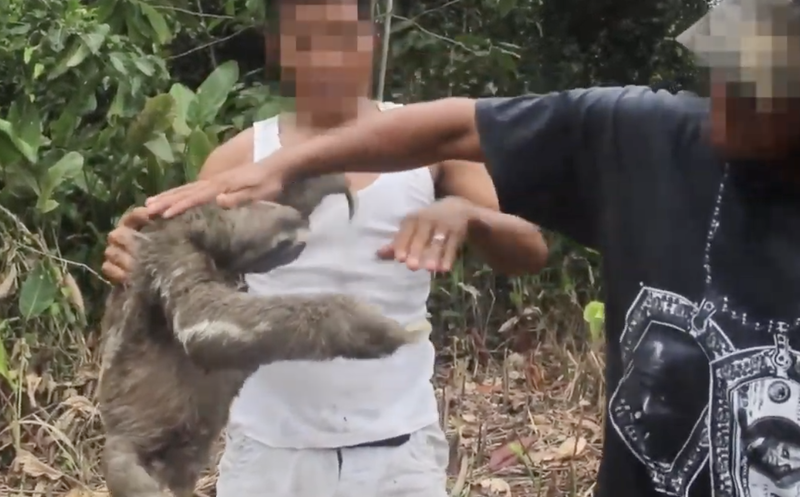 Video revela la triste realidad de como trafican con animales por internet.
