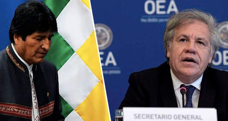 OEA se inventó informe falso para concluir que Evo Morales hizo fraude.