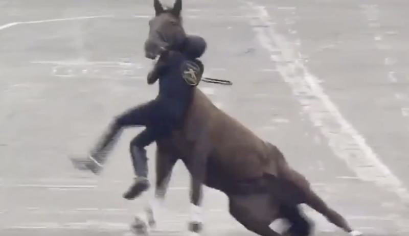 Jinete y su caballo sufren terrible caída durante desfile de la revolución mexicana (Video)