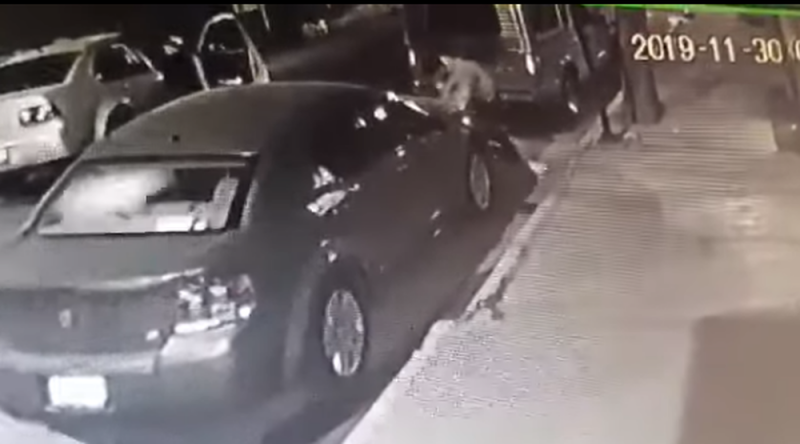 Cámaras captan a un hombre golpeando, pateando y arrastrando a una mujer en las calles de la Ciudad 