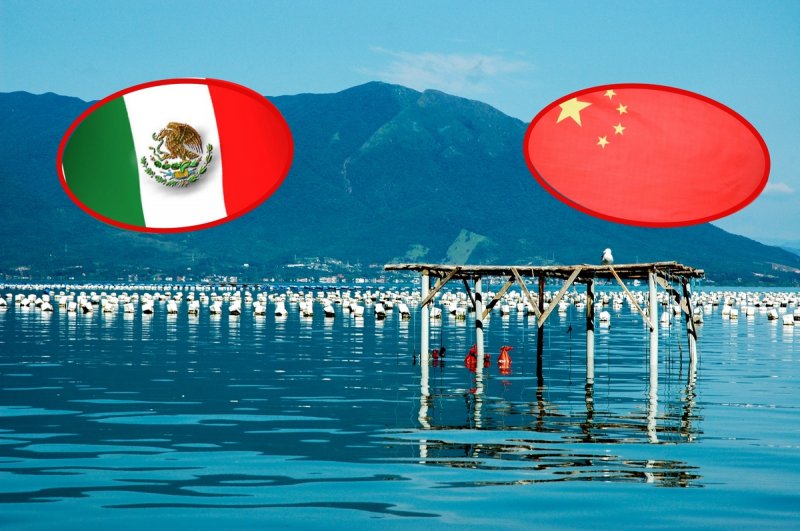México y China cierran filas; preparan centro de maricultura en Dzilam, Yucatán