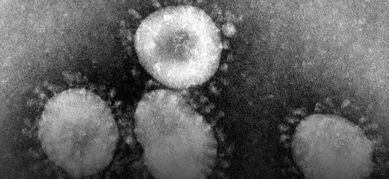 Suman 6 muertos por coronavirus que muta de humano a humano