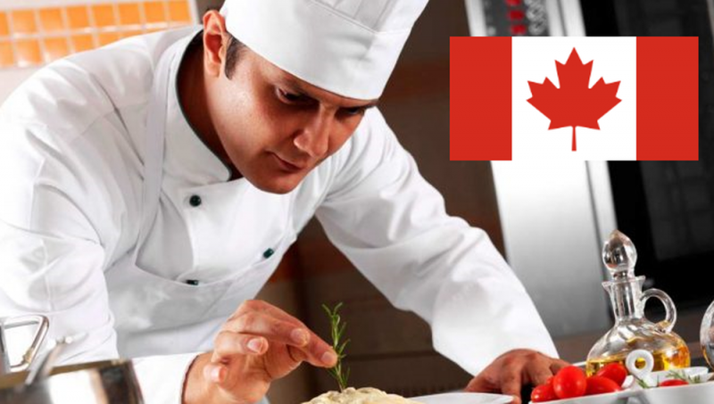 Canadá dará trabajo a cocineros mexicanos; paga 34 mil mensuales
