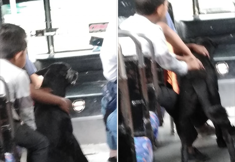 Chofer de autobús se vuelve viral tras dejar subir sin pagar a varios niños de escasos recursos