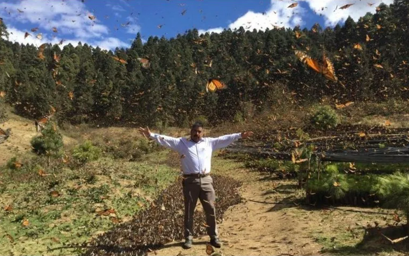 Encuentran cuerpo sin vida del activista y defensor de la mariposa monarca Homero Gómez