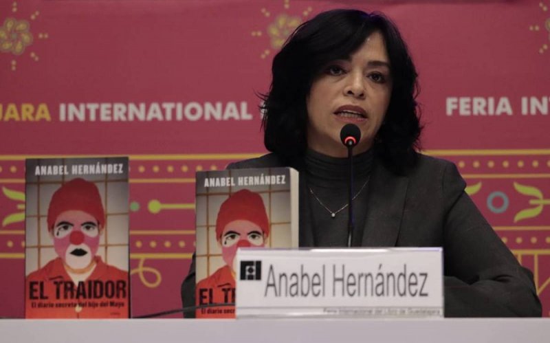 (VIDEO) Tráfico de cocaína por toneladas en camiones de pollos, parte de la red: Anabel Hernández