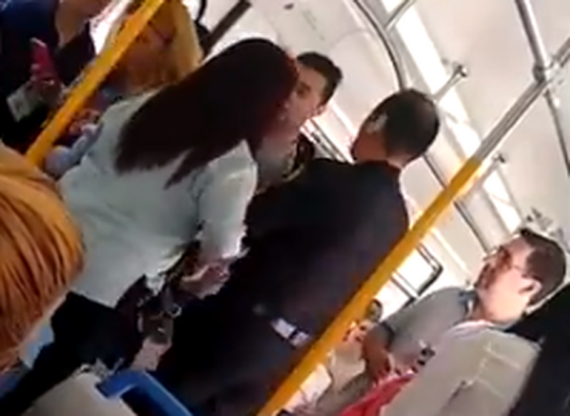 Mujer patea a perrita de la calle en el Metro y pasajeros enfurecen contra ella