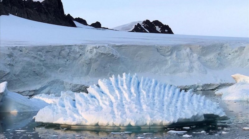 Antártida tiene temperatura récord en 5 años; 18.3 grados