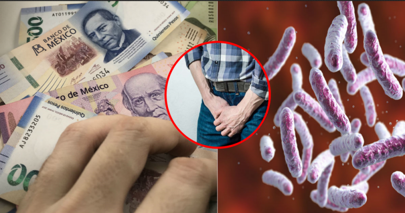 Estudio revela que bacterias de los genitales son las más comunes en los billetes