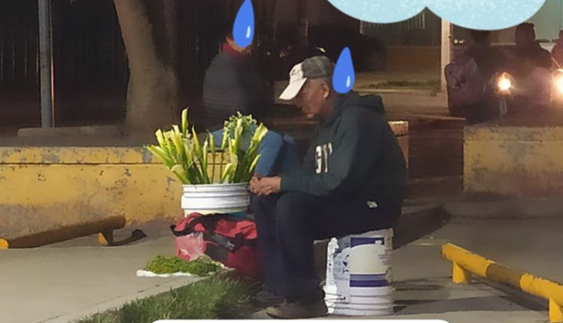Usuarios viralizan a abuelito que vende flores para ayudarlo con la ventay