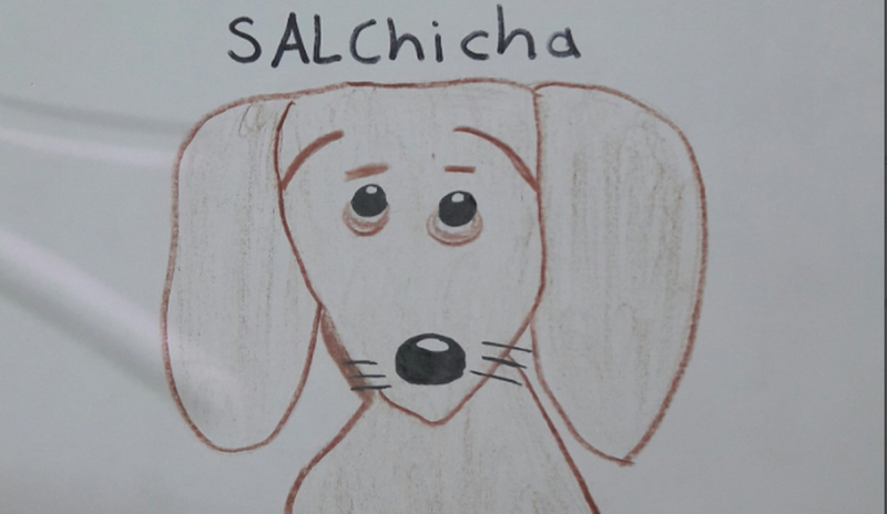 Con este dibujo José Miguel de 11 años busca a su perrita perdida