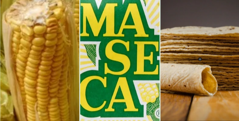 Harina de MASECA contiene maíz transgénico y herbicidas que causan cáncer