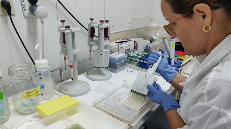 Biomedicina cubana llegaría a México con tratamientos para cáncer y coronavirus.