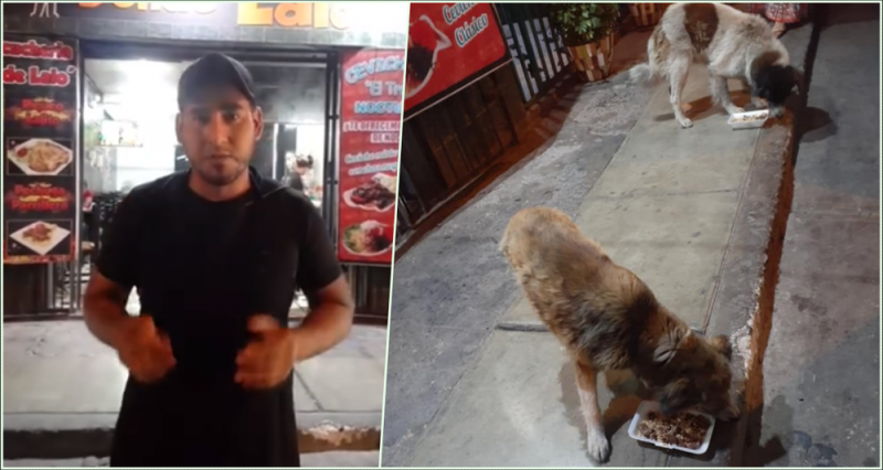 Joven restaurantero guarda comida sobrante de su negocio y alimenta a perros de la calle
