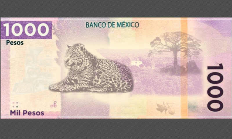 Este es el nuevo billete de mil pesos, tendrá jaguar, Calakmul y Ciudad Maya