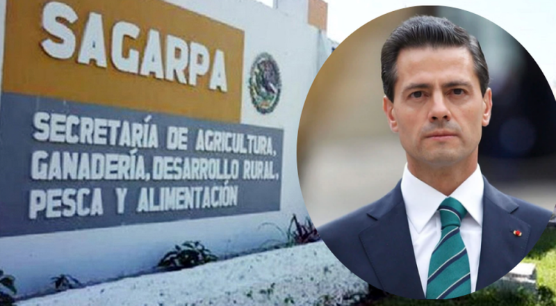 4T exhibe desvío por 500 mdp de SAGARPA durante sexenio de Peña Nietoy