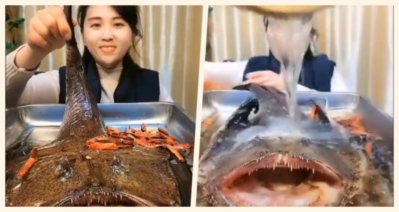 Indigna a usuarios de redes sociales el video de pez angelote cocinado vivo