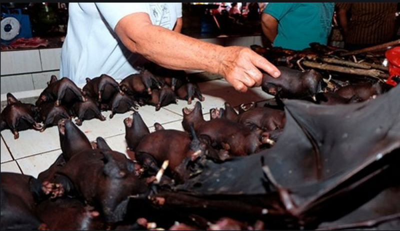 Tras dos meses de cuarentena, chinos vuelven a consumir carne de murciélago