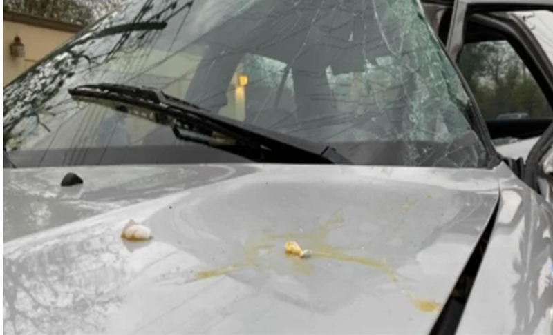 Le arrojan huevos al vehículo de MP, pierde el control, choca y pierde la vida