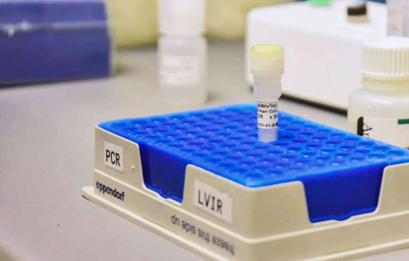 UNAM avanza a PRUEBA con animales en el desarrollo de vacuna COVID-19