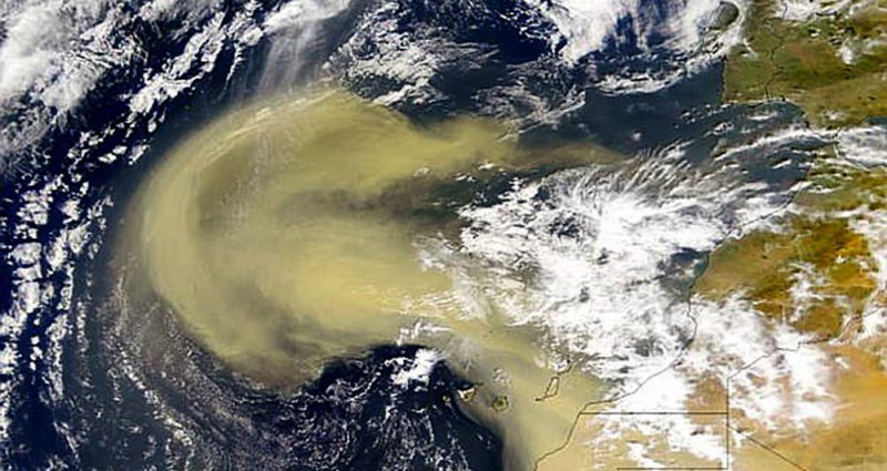 ¿Polvo del Sahara que llegará a México es un RIESGO para la SALUD?