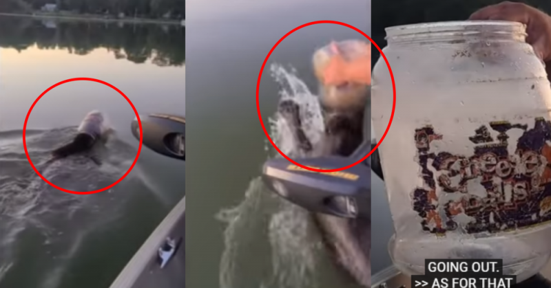 Familia se vuelve viral tras RESCATAR a Oso que nadaba con plástico en la cabeza