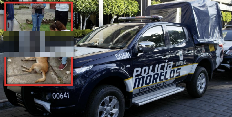 Para qué se atraviesa: Dicen policías de Morelos tras atropellar a un perrito 