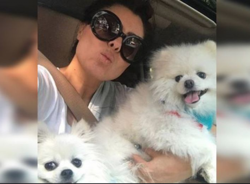 Yadhira Carrillo se queda sin dinero y pide a su AUDIENCIA que adopten a sus 120 perros