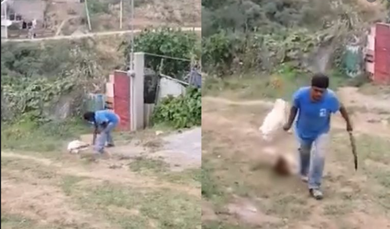 Usuarios en redes se unen y piden ubicar al ANIMAL que mató a machetazos a un perro en Ixtapaluca
