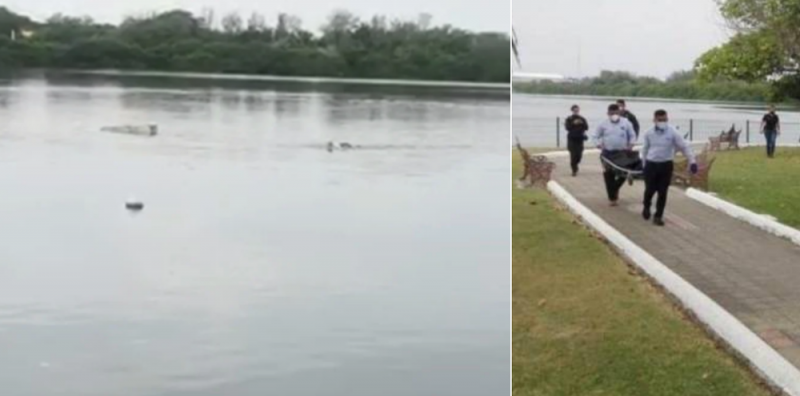 #VideoFuerte Cocodrilo mata y DEVORA a sujeto que se metió a nadar en la Laguna de Tamaulipas