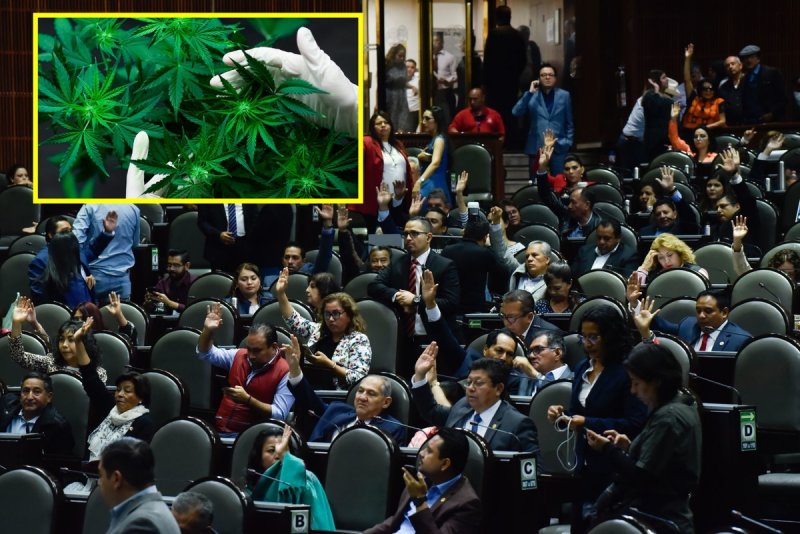 Redes TUNDEN al PAN por oponerse a regulación de marihuana en México