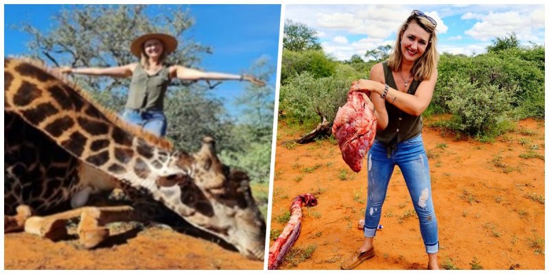 Indigna pareja que se fue de cacería por San Valentín; posa con el corazón de una jirafa que mató