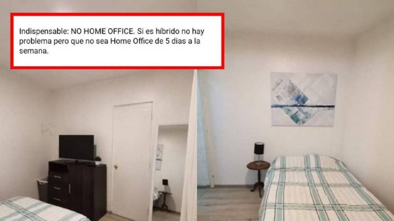 ¡Prohibido hacer Home Office!: Usuario busca roomie que no esté en casa todo el día