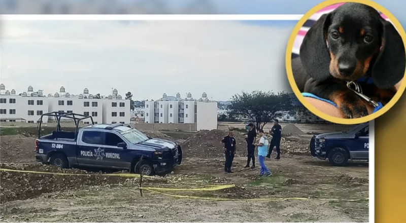 Hombre muere ahogado al intentar salvar a un perrito en Tlajomulco