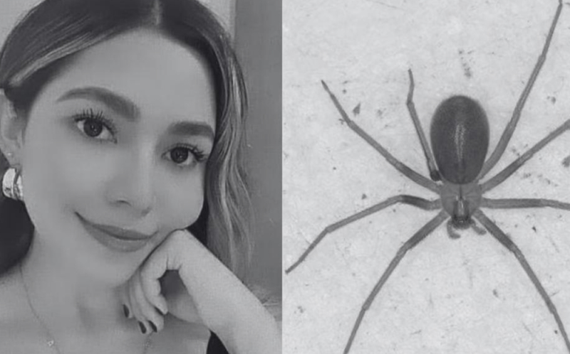 Joven picada por araña violinista sufrió cuatro paros cardiorespiratorios; esto le pasó a su cuerpo